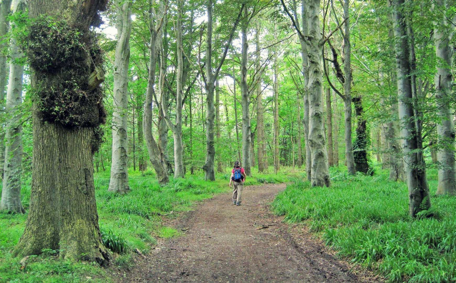 Speyside Way and Tomintoul Spur